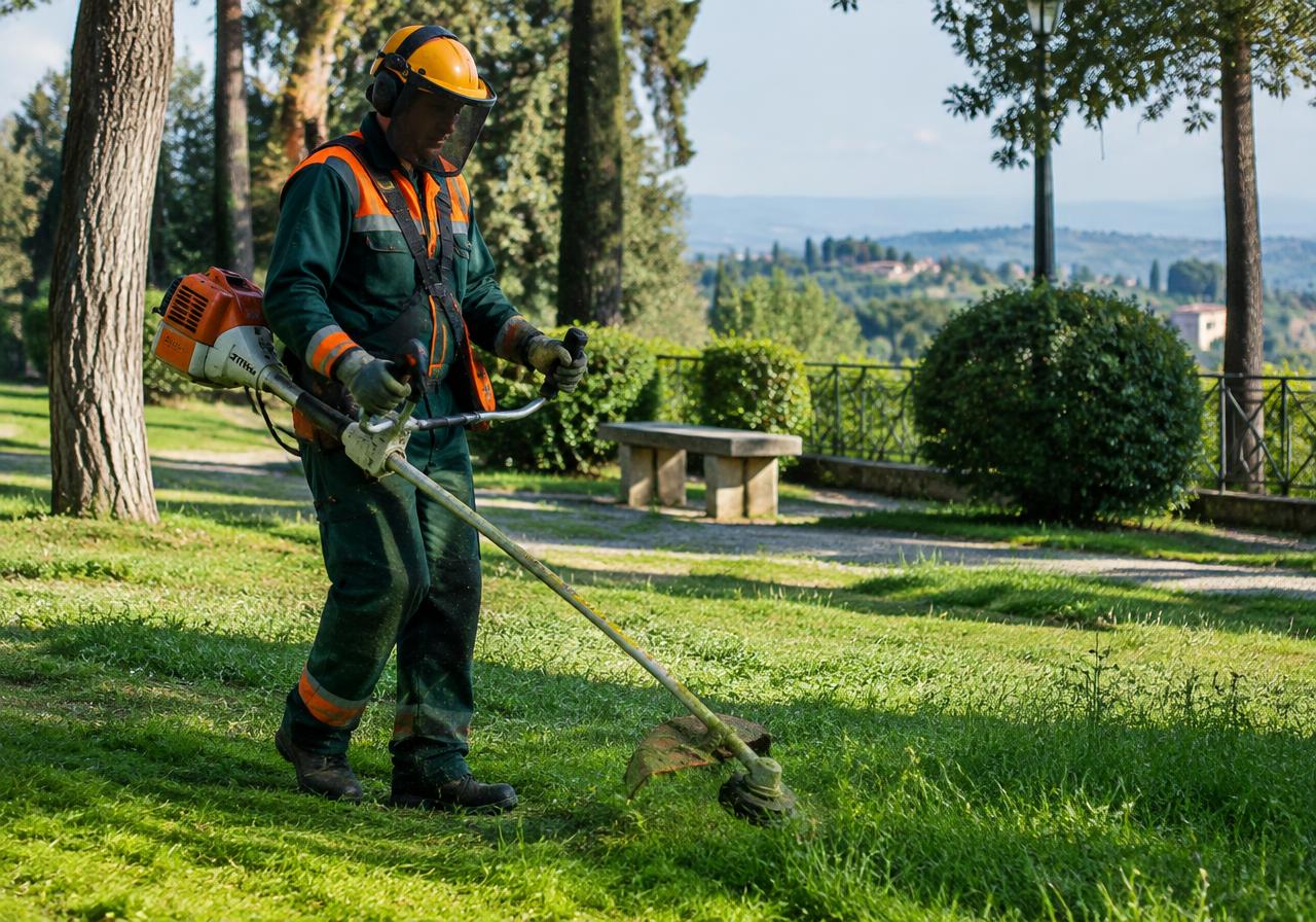 Manutenzione e giardini